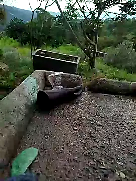 Snapshot of crazysex095 chatting on 01-02-25, 08:46 crazysex095 online show from 01-02-25, 08:46