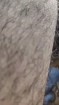 Snapshot of niyack69 chatting on 01-31-26, 11:03 niyack69 online show from 01-31-26, 11:03