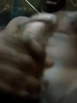 rodrig2107 online show from 04-11-26, 10:30