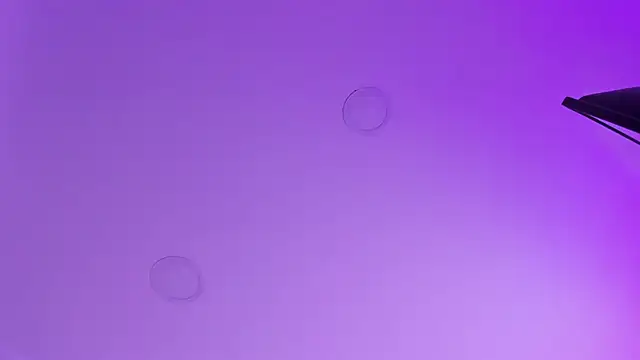 kathy bakerr online show from 03-18-26, 01:25