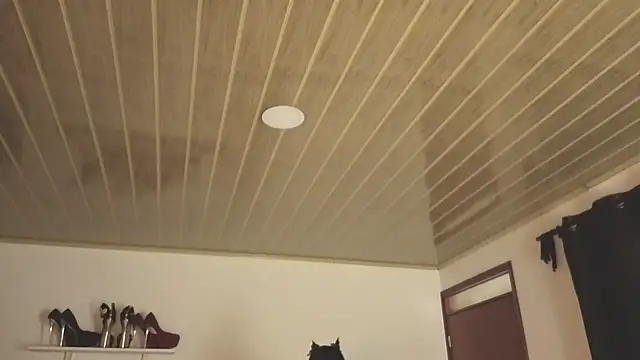 Renaxi Smith online show from 10-31-25, 07:59