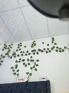 miaa--pervert online show from 01-15-25, 01:20