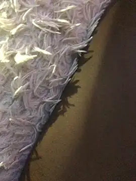 staroill online show from 02-20-25, 11:42