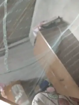 Snapshot of birds0641 chatting on 03-31-26, 07:36 birds0641 online show from 03-31-26, 07:36