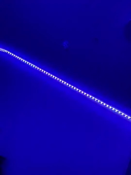 Snapshot of DaniJohnson chatting on 02-07-25, 03:19 DaniJohnson online show from 02-07-25, 03:19