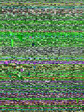 Snapshot of Walker_Thomas1 chatting on 07-10-26, 10:34 Walker Thomas1 online show from 07-10-26, 10:34