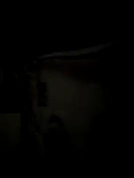 Snapshot of Sonam_21 chatting on 02-11-25, 07:59 Sonam 21 online show from 02-11-25, 07:59