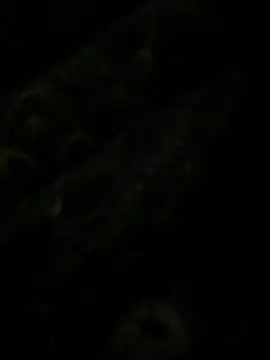 Snapshot of leonard__123 chatting on 02-06-25, 10:10 leonard 123 online show from 02-06-25, 10:10