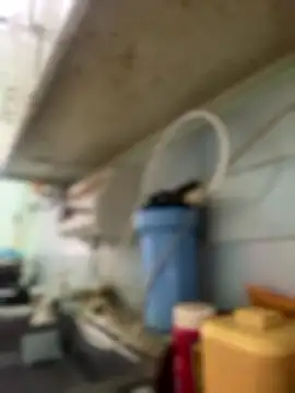 Snapshot of Carola-Ross chatting on 01-06-26, 04:32 Carola-Ross online show from 01-06-26, 04:32