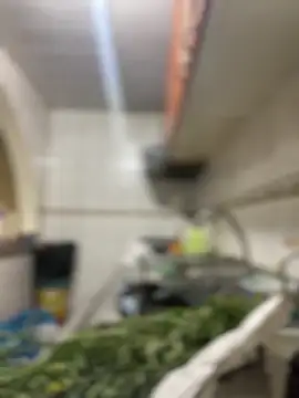 Snapshot of Carola-Ross chatting on 03-24-26, 05:40 Carola-Ross online show from 03-24-26, 05:40