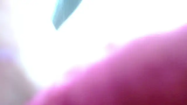 camilah tk online show from 05-13-26, 12:24