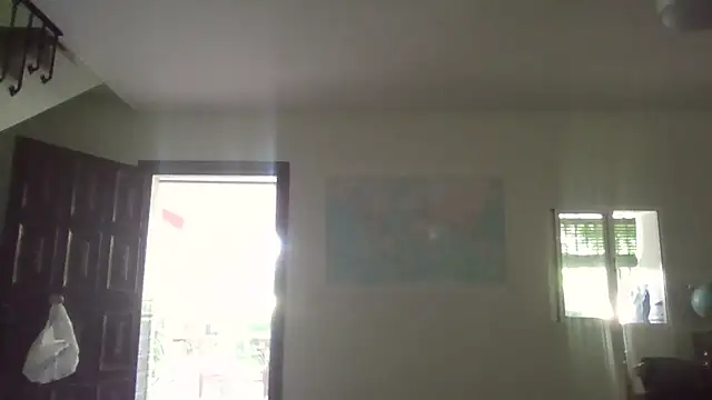 llopaco online show from 07-05-26, 12:12