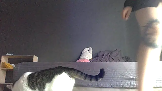 bysinka18 online show from 06-09-26, 11:33