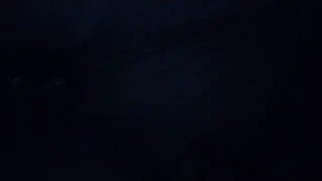 Mrpito7878 online show from 03-08-25, 02:40