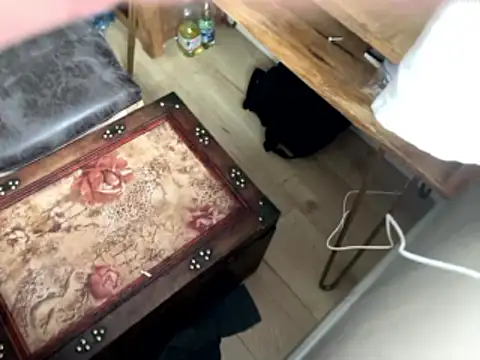 femboybandi online show from 01-12-26, 02:22