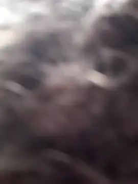 Snapshot of littledick947 chatting on 03-16-26, 08:13 littledick947 online show from 03-16-26, 08:13