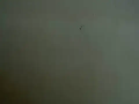mayra89 online show from 03-29-26, 08:25
