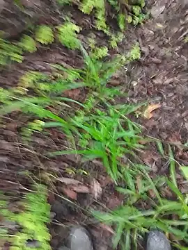 paugrosso553 online show from 03-19-26, 07:51