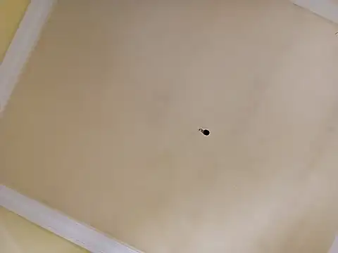 patrona sexooo online show from 04-02-26, 02:04