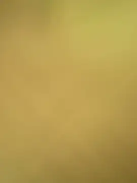 val zx online show from 04-24-26, 01:57