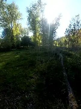 boasbuiten online show from 04-30-26, 03:51