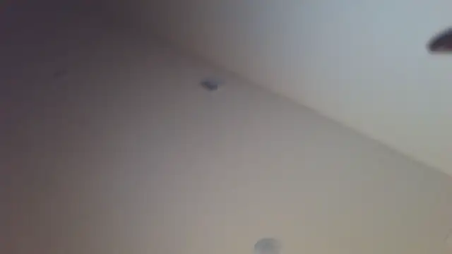 shurthingx online show from 04-14-26, 04:18