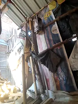 hot integer online show from 02-11-26, 11:26