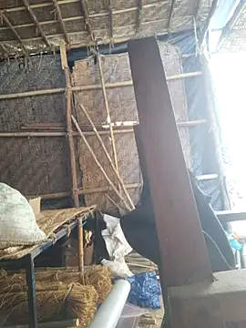 hot integer online show from 02-21-26, 02:56