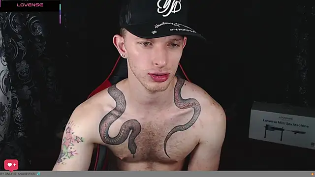 Snapshot of andrewxbi chatting on 02-08-26, 11:57 andrewxbi online show from 02-08-26, 11:57