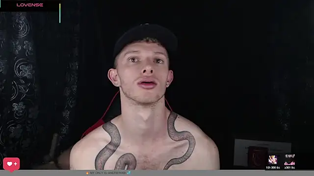 Snapshot of andrewxbi chatting on 02-11-26, 01:05 andrewxbi online show from 02-11-26, 01:05