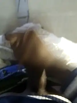 92donis online show from 11-20-25, 07:24