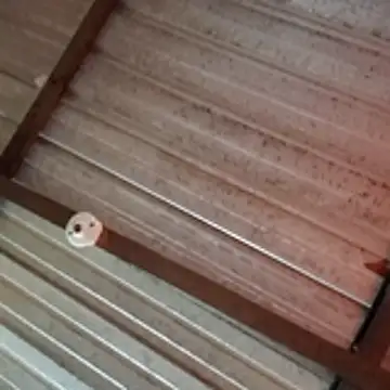 Ortiz3404 online show from 04-05-26, 02:58