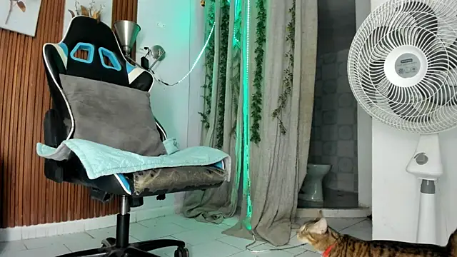 Darwin mayo online show from 12-22-25, 05:32