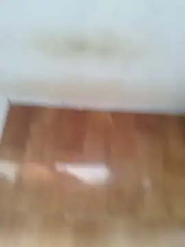 Snapshot of O_Mascarado_NK chatting on 03-21-26, 12:43 O Mascarado NK online show from 03-21-26, 12:43