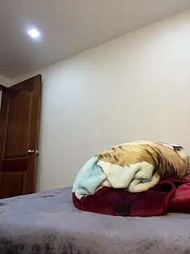 MaxDell online show from 03-20-26, 05:51