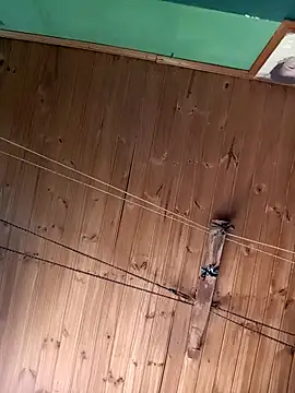 Snapshot of Ridick2025 chatting on 11-15-25, 05:20 Ridick2025 online show from 11-15-25, 05:20