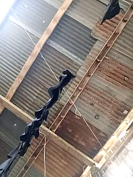 Davir2001 online show from 03-14-26, 09:42