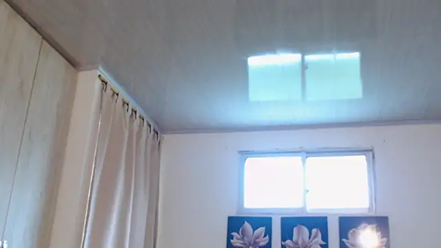 pinky f00x online show from 12-02-25, 07:31