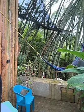 Rose-andres online show from 02-01-26, 07:34