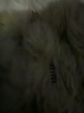 anonimgirl18old online show from 03-06-26, 05:09