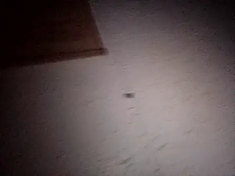 Hottiesophie online show from 04-11-26, 08:02