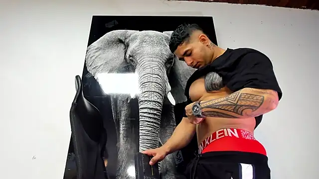 king falconer online show from 10-31-25, 02:12