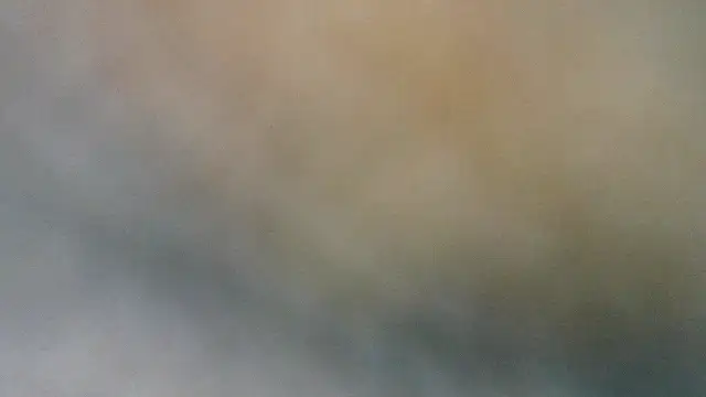 Snapshot of geryrebe7 chatting on 01-18-26, 04:55 geryrebe7 online show from 01-18-26, 04:55