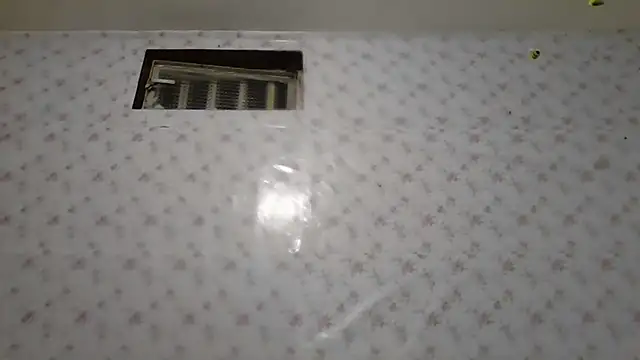 Roselingalvis13 online show from 02-02-26, 02:43