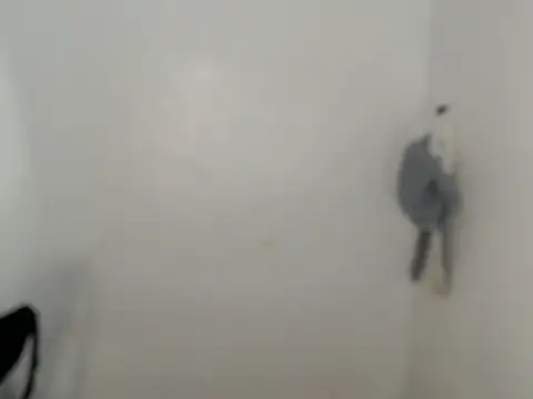 ynotyu online show from 03-29-26, 05:18