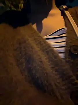 Snapshot of Meii-meyy chatting on 01-16-26, 02:54 Meii-meyy online show from 01-16-26, 02:54