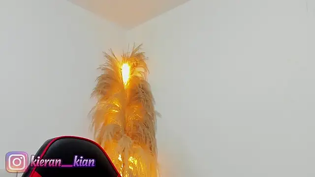 Snapshot of Kieran_kian chatting on 04-19-26, 03:55 Kieran kian online show from 04-19-26, 03:55