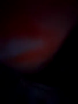 Exotic-bhabhi online show from 10-10-25, 08:52