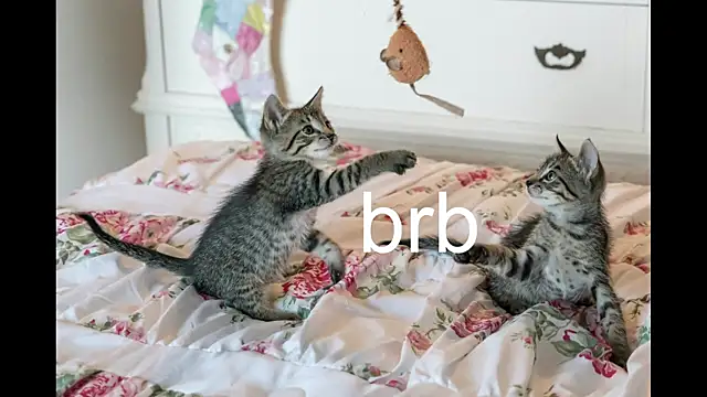 Pink girl0n online show from 09-25-25, 12:20