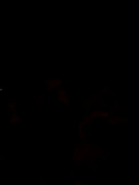 Lujor online show from 04-17-26, 10:57